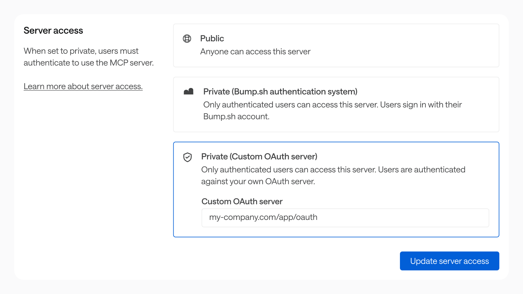 Access management module of the MCP server